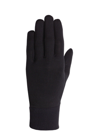 Arctic Silk Glove Liner
