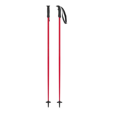 Amt Ski Poles