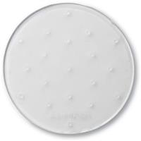 Circle Mat Stomp Pad - Clear - Circle Mat Stomp Pad - Winterkids.com                                                                                                                 