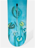 Unisex Blossom Snowboard - Frog