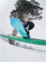 Unisex Blossom Snowboard - Frog