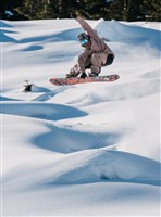 Unisex Family Tree High Fidelity Snowboard