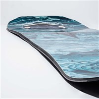 Men's T. Rice Golden Orca Snowboard