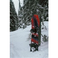 Men's Ravine Free-The-Ride Camber Snowboard