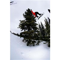 Men's Viper Pro Fusion Camber Snowboard