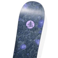 Family Tree Full Nelson Snowboard - Space