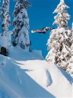 Men's Custom Snowboard - Jungle