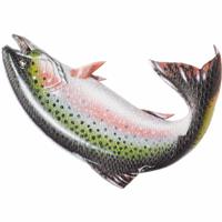 Burton Foam Mat - Brushie Fish