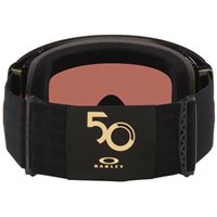 Flight Deck Pro L Matte Black Goggle - Mettalic Black Gold Frame w/ Prizm 24K & Prizm Iced Lenses (OO7138-09)