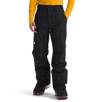 Men's Freedom Insulated Pant - TNF Black-NPF