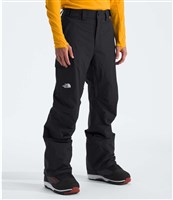 Men's Freedom Insulated Pant - TNF Black-NPF