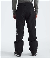 Men's Freedom Pant - TNF Black-NPF