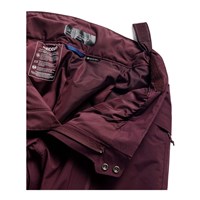 Men's [ak] Swash Insulated GORE-TEX 2L Pants - Rum Raisin