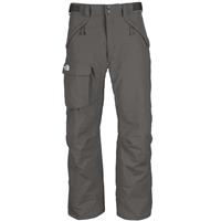 Men's Freedom Insulated Pants - Metallic Silver (AHJJ)