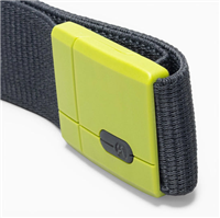 Polar Mag Belt - Navy / Clover