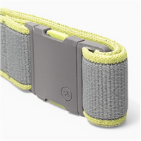 Carto Belt - Shadow / Clover
