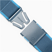 Carto Belt - Royal / Tide