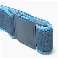 Carto Belt - Royal / Tide