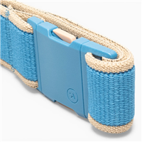 Carto Slim Belt - Tide / Sand